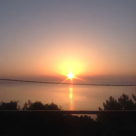 Travlos Eleios-Pronnoi